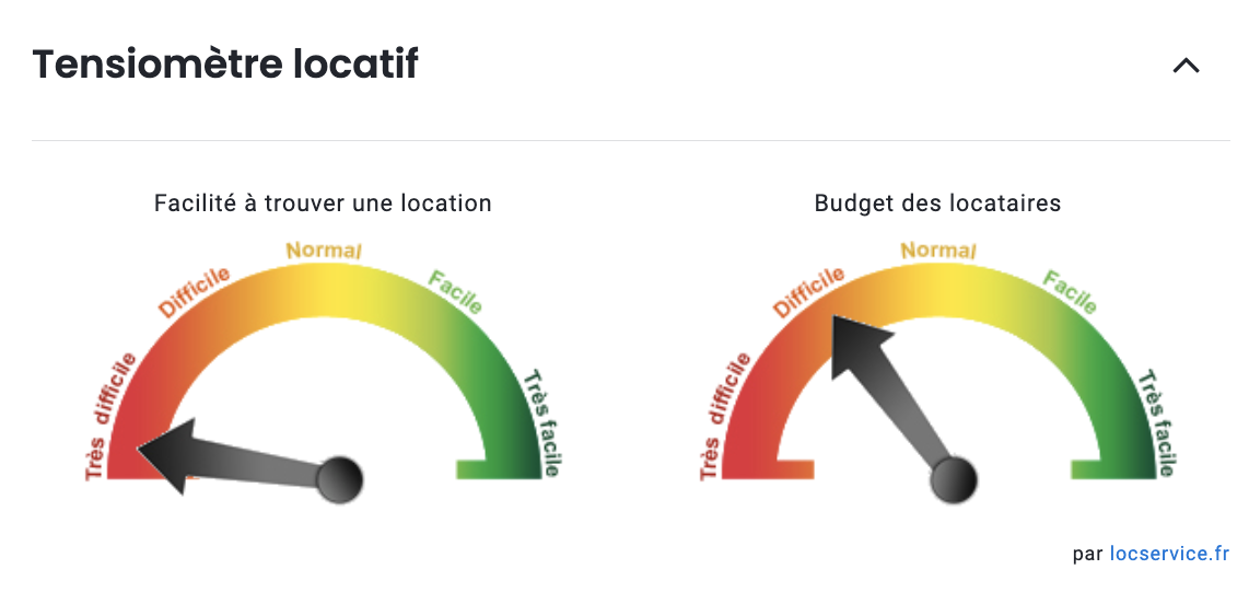 marche-locatif-pau-1